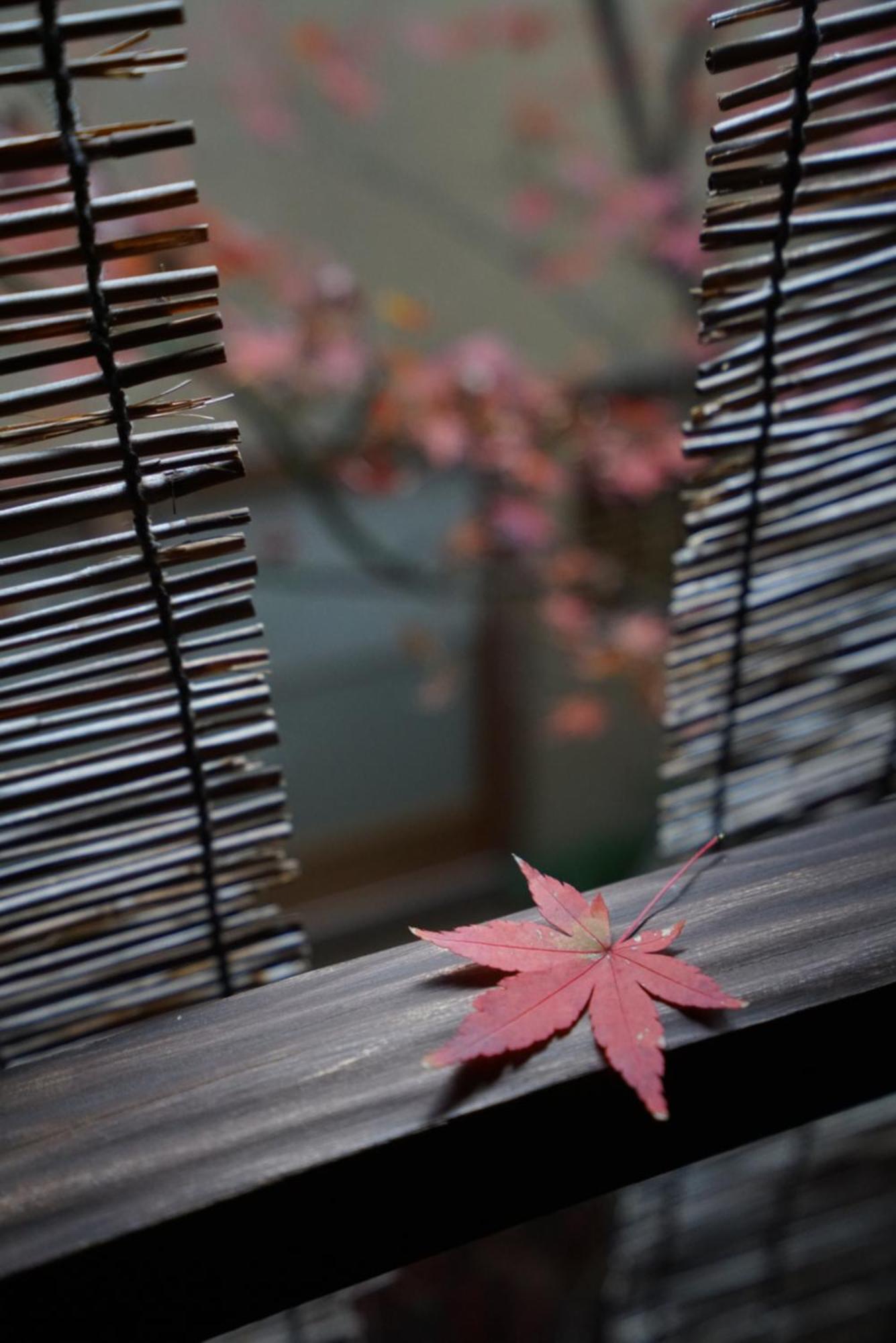 Ryokan Tori Kyoto Exterior photo
